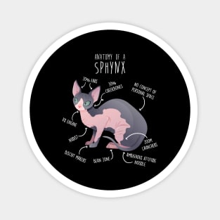 Sphynx Cat Anatomy Magnet